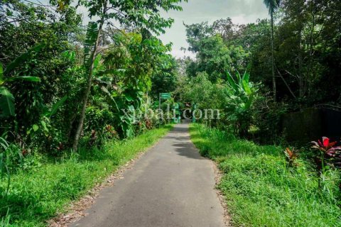 26543m2 Land in Indonesia No. 7856 14