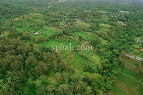 26543m2 Land in Indonesia No. 7856 25