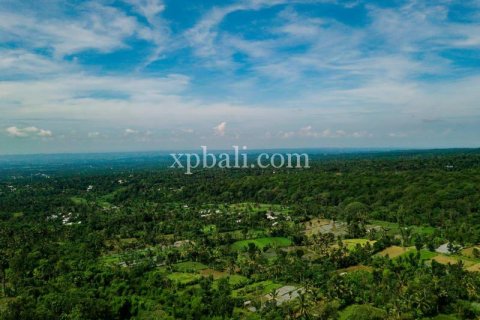 26543m2 Land in Indonesia No. 7856 4