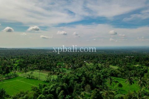 26543m2 Land in Indonesia No. 7856 6