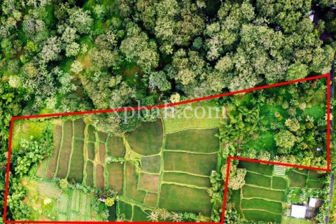 26543m2 Land in Indonesia No. 7856 26