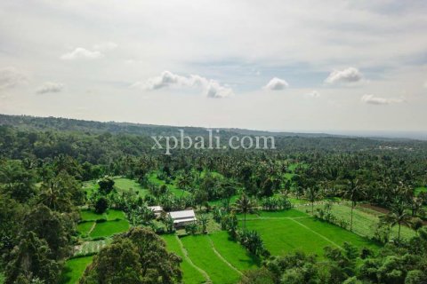 26543m2 Land in Indonesia No. 7856 7