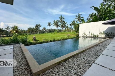5 bedrooms Villa in Ubud, Gianyar, Indonesia No. 7708 6