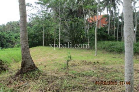 Земельный участок 4175м2 в Gianyar, Гианьяр, Индонезия № 13360
