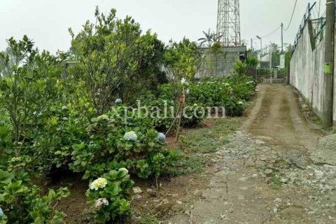 825m2 Land in Tabanan, Indonesia No. 13357 6