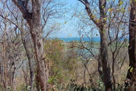 900m2 Land in Lovina, Anturan, Buleleng, Indonesia No. 13354