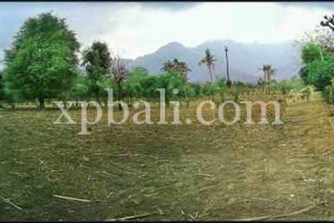 3200m2 Land in Lovina, Anturan, Buleleng, Indonesia No. 8726