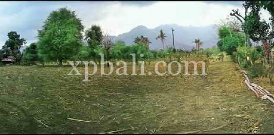3200m2 Land in Lovina, Anturan, Buleleng, Indonesia No. 8726