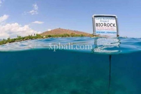 3200m2 Land in Lovina, Anturan, Buleleng, Indonesia No. 8726 3