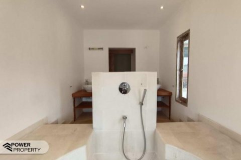 5 bedrooms Villa in Seminyak, Badung, Indonesia No. 8687 23