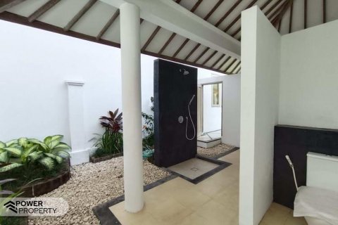 5 bedrooms Villa in Seminyak, Badung, Indonesia No. 8687 4