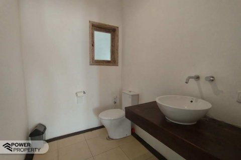 5 bedrooms Villa in Seminyak, Badung, Indonesia No. 8687 16