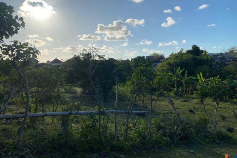 Земельный участок в Nusa Dua, Бадунг, Индонезия № 11421 2
