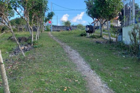 Земельный участок в Nusa Dua, Бадунг, Индонезия № 11421 3