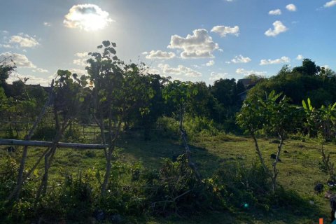 Land in Nusa Dua, Badung, Indonesia No. 11421