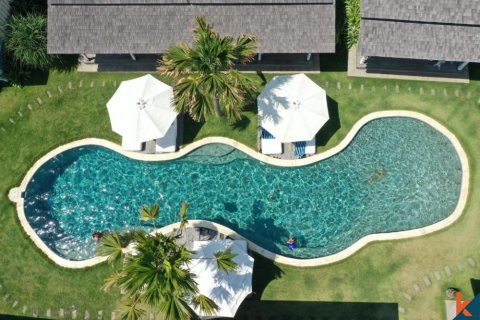 9 bedrooms Villa in Badung, Indonesia No. 11420 12