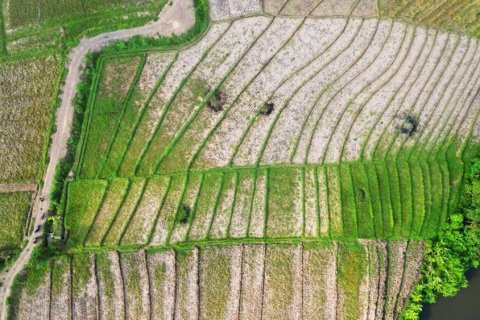 2650m2 Land in Tabanan, Indonesia No. 11417 2