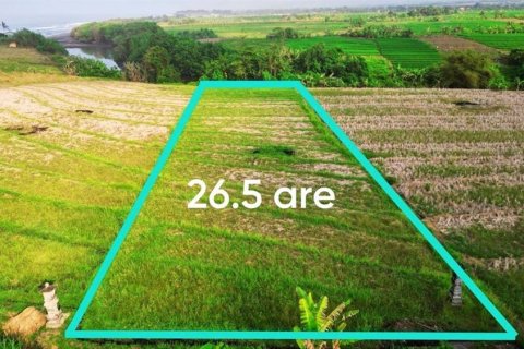 2650m2 Land in Tabanan, Indonesia No. 11417 3