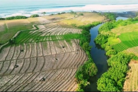 2650m2 Land in Tabanan, Indonesia No. 11417