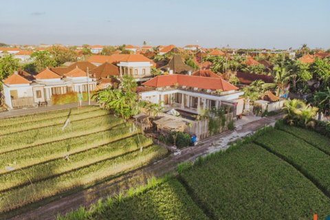 5 bedrooms Villa in Canggu, Badung, Indonesia No. 11467