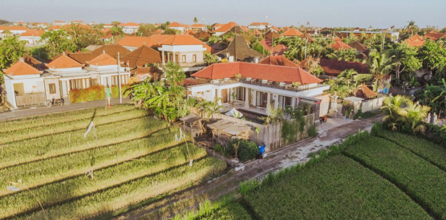 5 bedrooms Villa in Canggu, Badung, Indonesia No. 11467