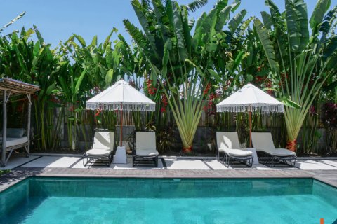 5 bedrooms Villa in Canggu, Badung, Indonesia No. 11467 5