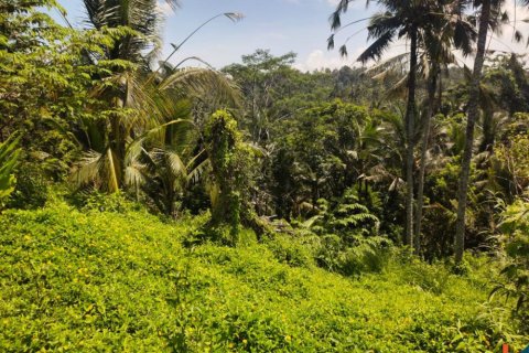 Land in Tabanan, Indonesia No. 11466 4