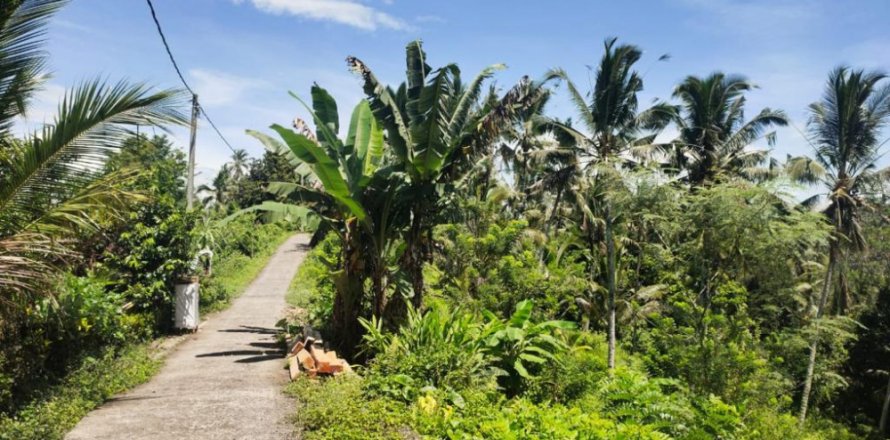 Land in Tabanan, Indonesia No. 11466