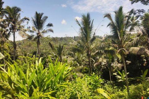 Land in Tabanan, Indonesia No. 11466 6