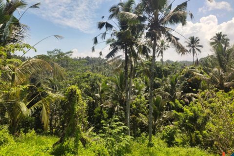 Land in Tabanan, Indonesia No. 11466 3