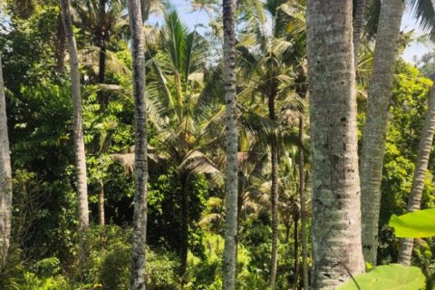 Land in Tabanan, Indonesia No. 11466 2