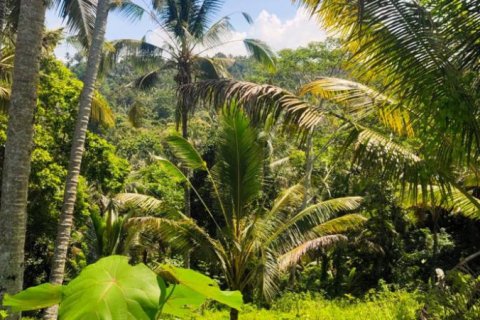 Land in Tabanan, Indonesia No. 11466 5