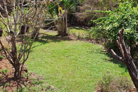 27900m2 Land in South Kuta, Badung, Indonesia No. 7795 14