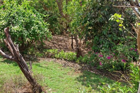 27900m2 Land in South Kuta, Badung, Indonesia No. 7795 28