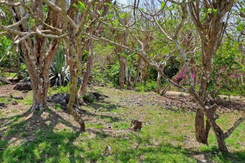 27900m2 Land in South Kuta, Badung, Indonesia No. 7795 27