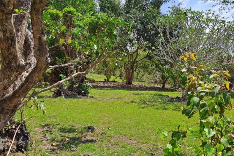 27900m2 Land in South Kuta, Badung, Indonesia No. 7795 6