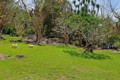 27900m2 Land in South Kuta, Badung, Indonesia No. 7795 20