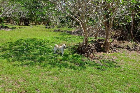 27900m2 Land in South Kuta, Badung, Indonesia No. 7795 21