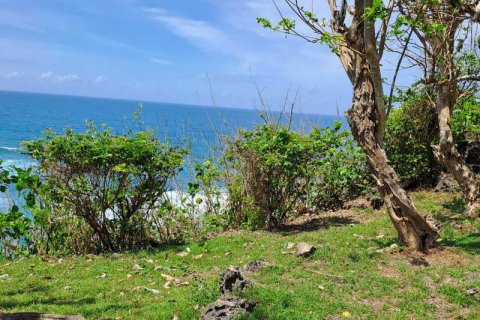 27900m2 Land in South Kuta, Badung, Indonesia No. 7795 8