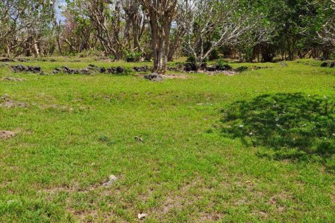 27900m2 Land in South Kuta, Badung, Indonesia No. 7795 5