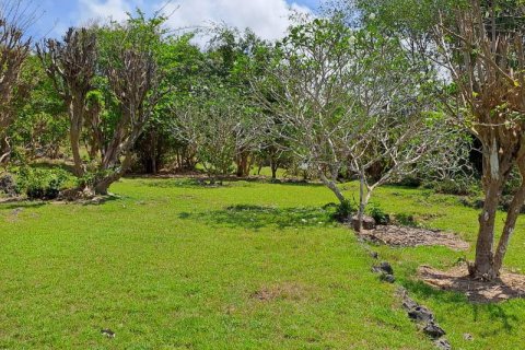 27900m2 Land in South Kuta, Badung, Indonesia No. 7795 29