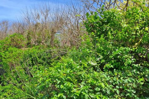 27900m2 Land in South Kuta, Badung, Indonesia No. 7795 13