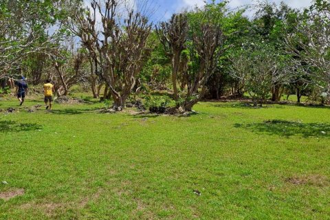 27900m2 Land in South Kuta, Badung, Indonesia No. 7795 3