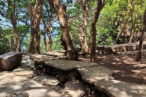 27900m2 Land in South Kuta, Badung, Indonesia No. 7795 4