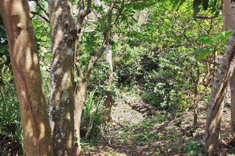 27900m2 Land in South Kuta, Badung, Indonesia No. 7795 24