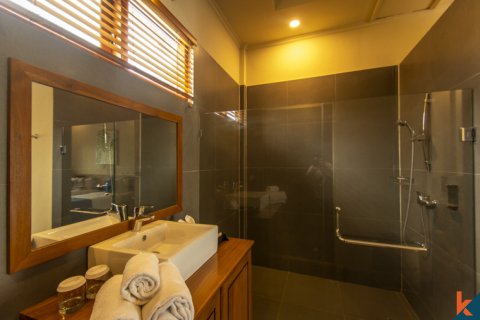 2 bedrooms Villa in Lovina, Anturan, Buleleng, Indonesia No. 11537 24
