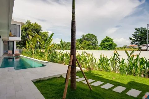 5 bedrooms Villa in Denpasar, Indonesia No. 10546 7