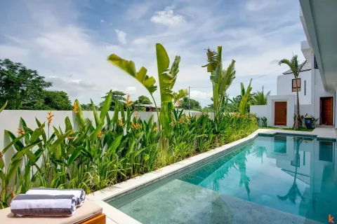 5 bedrooms Villa in Denpasar, Indonesia No. 10546 5