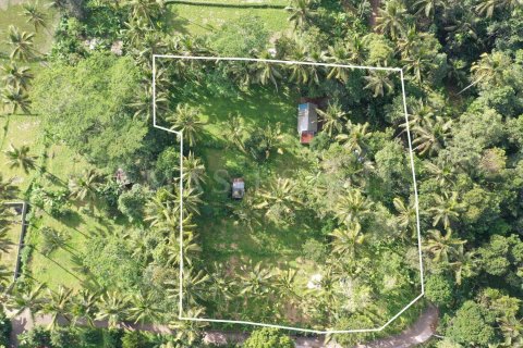 Land in Tegallalang, Gianyar, Indonesia No. 4260