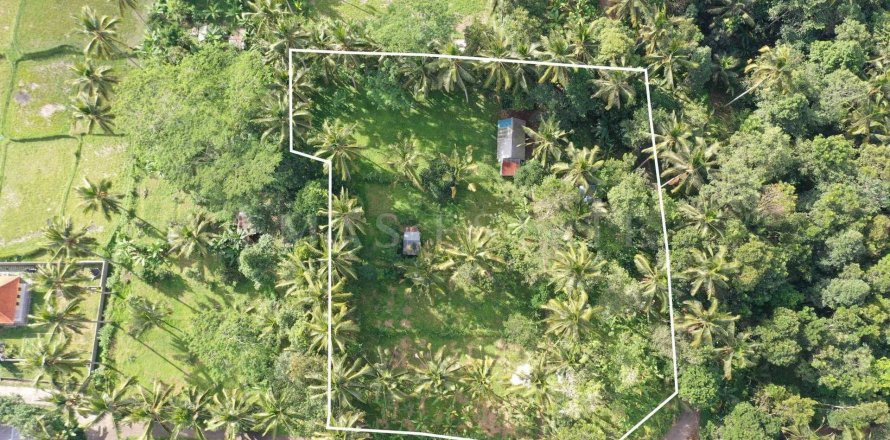 Land in Tegallalang, Gianyar, Indonesia No. 4260